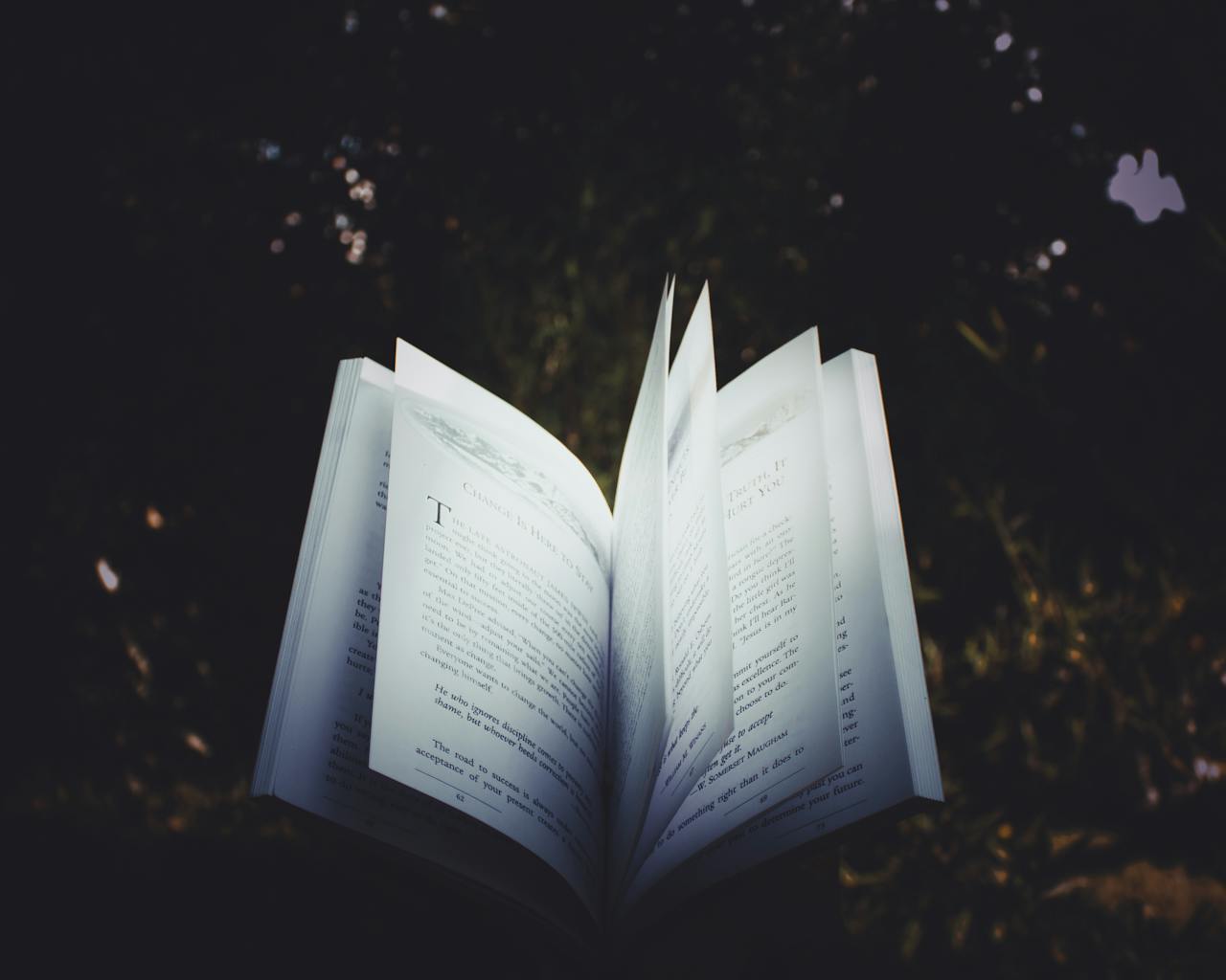 services-02 An open book with pages turning, captured outdoors, creating a dreamy reading atmosphere.